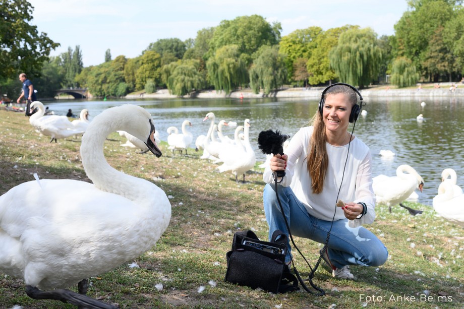 Susanne Franzmeyer hockt inmitten von Schwänen vor einem Gewässer und hält einem Schwan ihr Mikrofon entgegen.